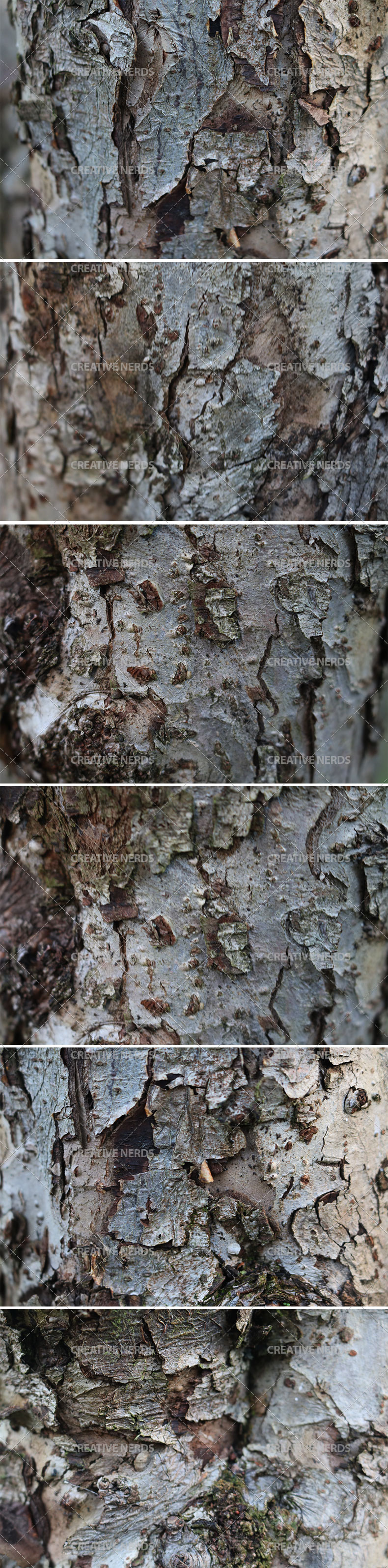 tree-barked-texture-big-preview